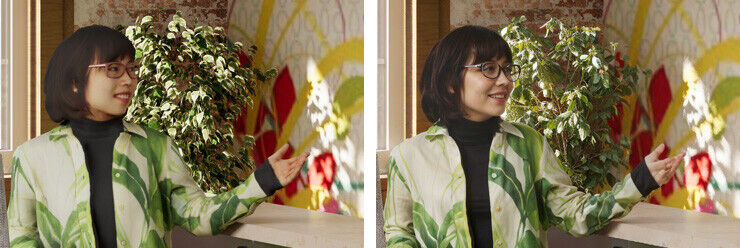 Side-by-side comparison of a woman gestuering in front of a wall mural and plant. Both are Enscape rendered and one is AI-enhanced.